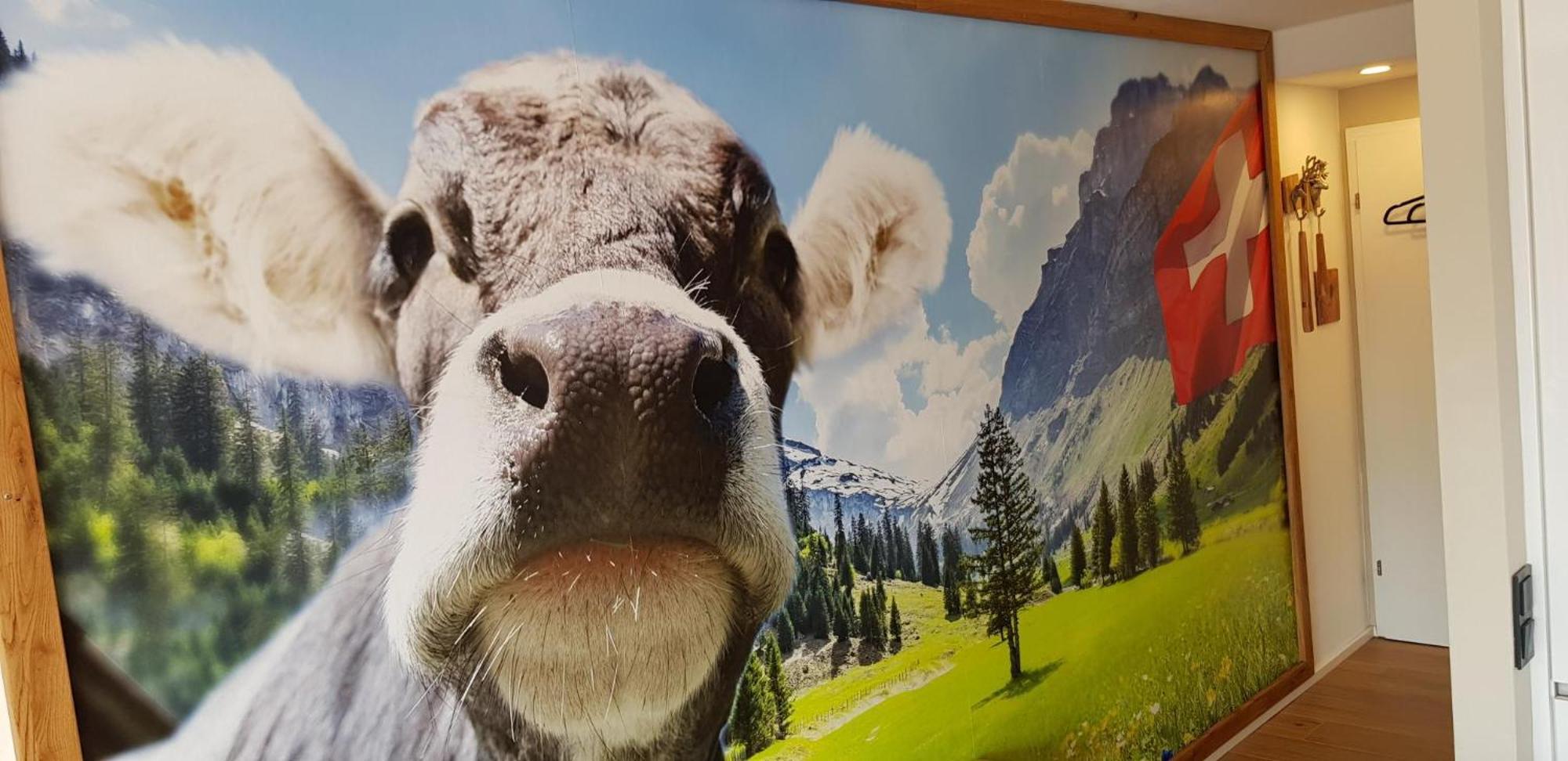 Apartamento ALMI - Alpenglück Traumhafte Whg.m.20qm Dachterr. Oberstaufen Exterior foto